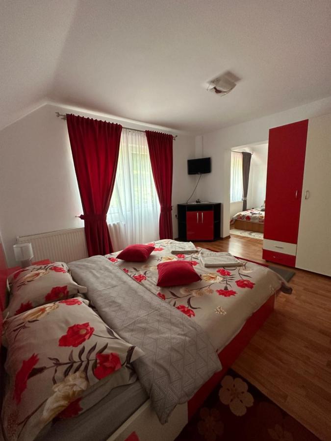 Casa Ika&Matei Villa Borşa Exterior foto